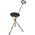 Folding Lightweight Cane Seat